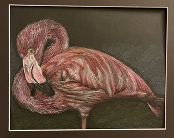 Flamingo