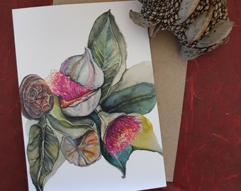 Mottlecah Eucalyptus (Native Card Collection) - Original Watercolour Design