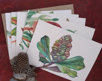 BANKSIA COLLECTION | Pack of 5 - Original Watercolour Designs
