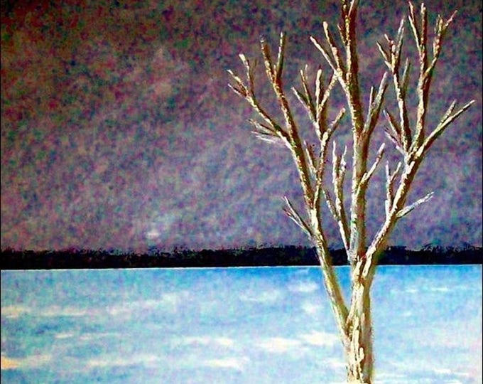 2017#02_Winterlandschaft Oil Painting Night Sky Tree Snow Tree Landscape Oil Painting
