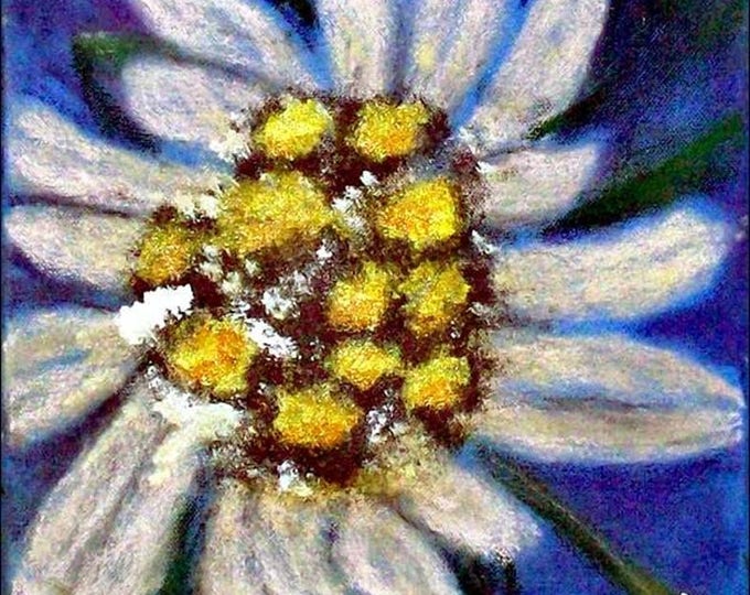 2017#54_Edelweiss Mixing Technique Painting Pastel Cretaceous acrylic Color Floral Floral-Flora Bed-Here-Been Edelweissflower-Mixed Technique Painting