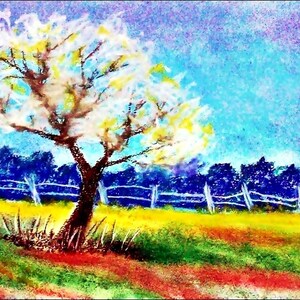 May include: A pastel painting of a white flowering tree in a field with a blue sky and a wooden fence in the background.