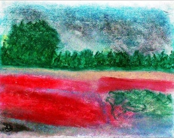 2018 # 09_Am River, pastel painting, river, forest, trees, meadow, flowers, field, poppy, water, clouds, pastel, pastel painting, landscape
