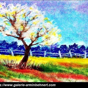 May include: A pastel painting of a white flowering tree in a field with a blue sky and a white fence in the background.