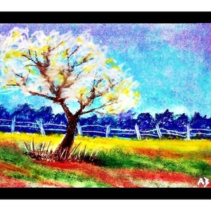 May include: A pastel drawing of a white tree with a brown trunk in a field with a blue sky and a fence in the background.