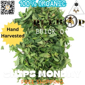 Spearmint Fresh Whole Top Leaf Hand Picked  Organic ~A Beebop Farm™ Product~