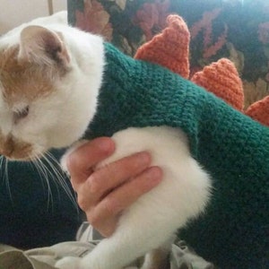 Crochet Cat or Small Dog Dinosaur Sweater Costume image 4