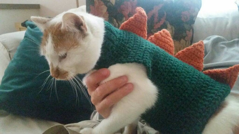 Crochet Cat or Small Dog Dinosaur Sweater Costume image 4