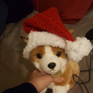 Dog or Cat Santa Hat