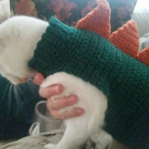 Crochet Cat or Small Dog Dinosaur Sweater Costume