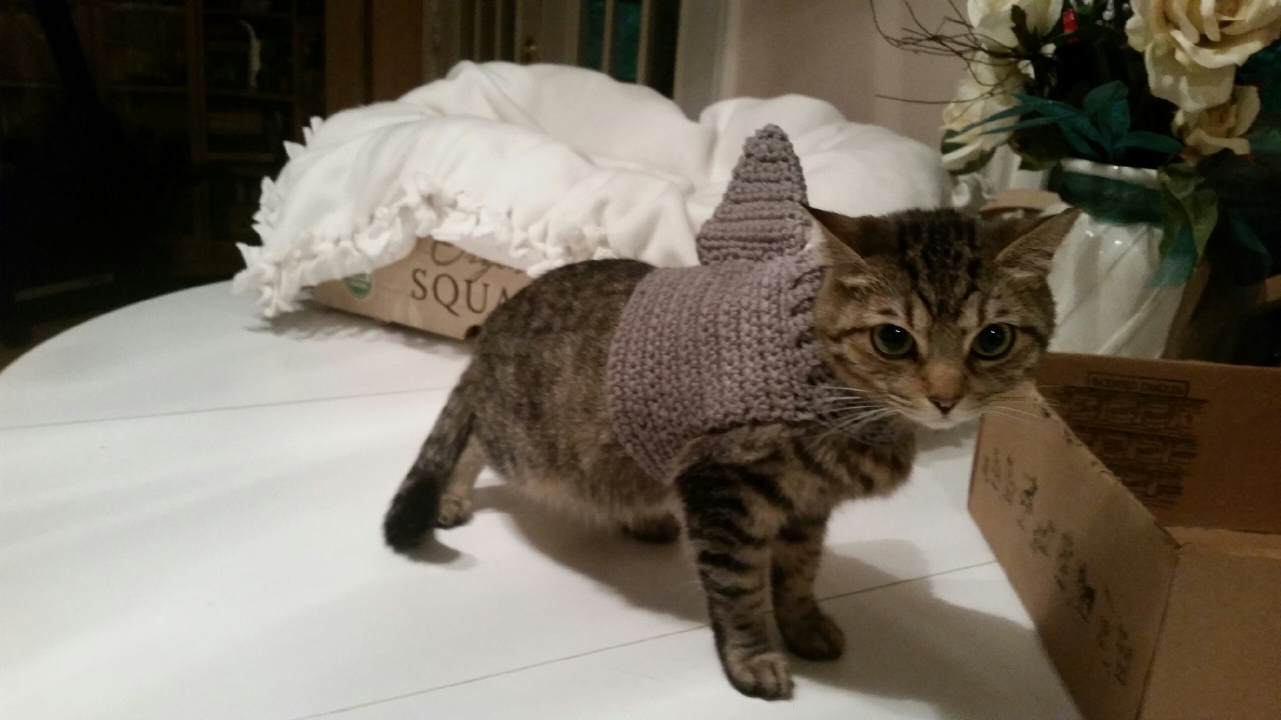 Crochet Cat Shark Sweater Costume