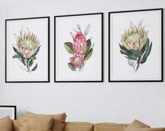 Protea Art Digital Prints - South African Native Flowers Plant Posters Watercolor Botanical Printable Set of 3 YOU PRINT 40191