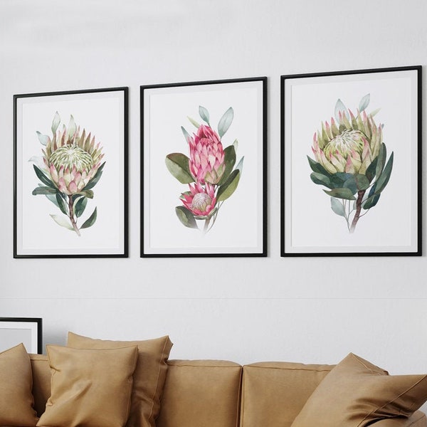 Protea Art Digital Prints - South African Native Flowers Plant Posters Watercolor Botanical Printable Set of 3 YOU PRINT 40191