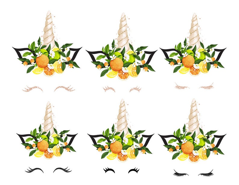 Sommer Pariser Einhorn Gesicht Clipart Einhorn Kopf ...