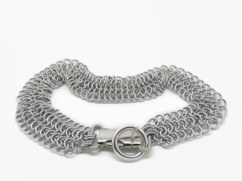 Chainmaille Dog Collar image 1