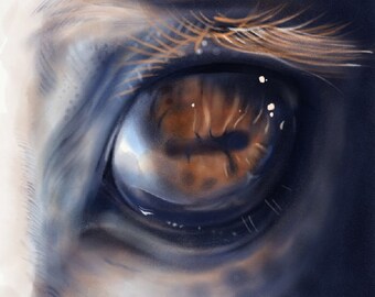 Vision