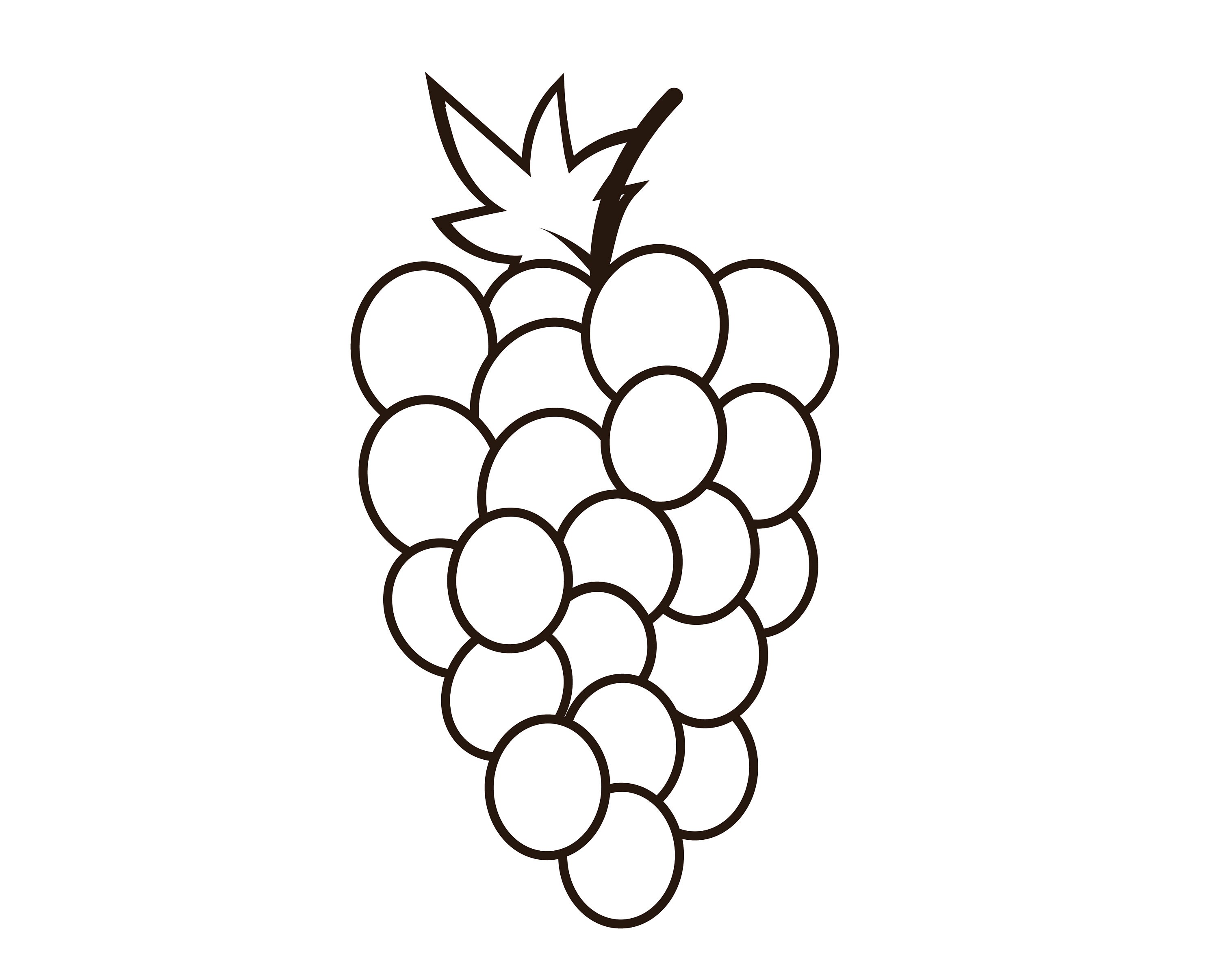 Grapes Eps, Grapes Clipart, Grapes Svg, Grapes Fruit Learning and ...