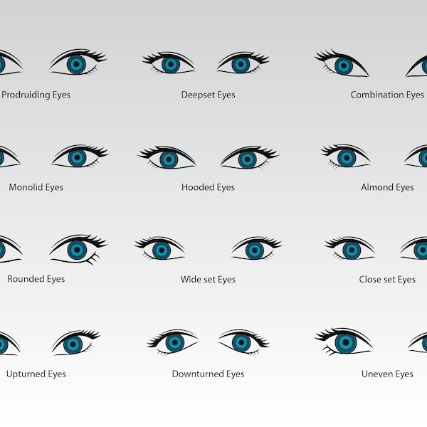 Vectores de ojos humanos, Colección de tipos de ojos, Formas de ojos, Vector de ojos y Vector con PNG transparente, ojos de colores rojos, azules, verdes, marrones