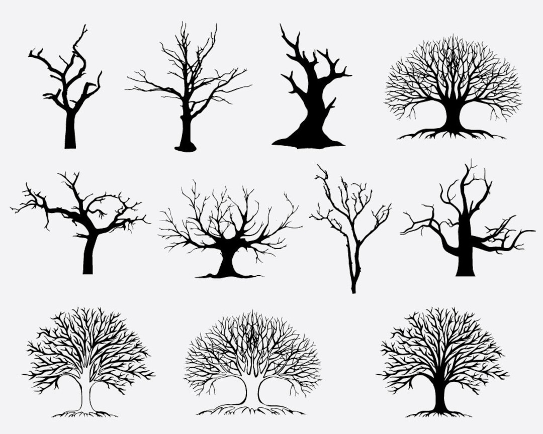 Dessin D Arbre Sans Feuille A Imprimer Arbre sans vecteur de feuilles silhouette darbre disolement - Etsy Canada