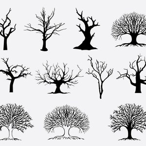 Boom zonder bladerenvector, Het silhouet van de boom dat op witte achtergrondvector wordt geïsoleerd, Dode Boom, tak zonder Bladeren, eikenboom, bladloze boom
