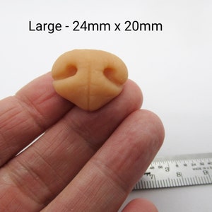 May include: A close-up of a light brown, sculpted, realistic-looking nose, measuring 24mm x 20mm. The nose is held in a hand, with a ruler in the background.