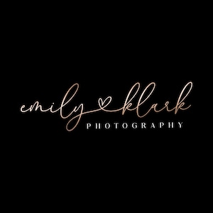 Premade Signature Logo Design: Modern Script Logo for Business
