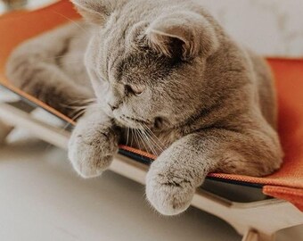 Chat Hamac Lit Hamac сat Hamac Chat Turquoise Hamac Pour Etsy