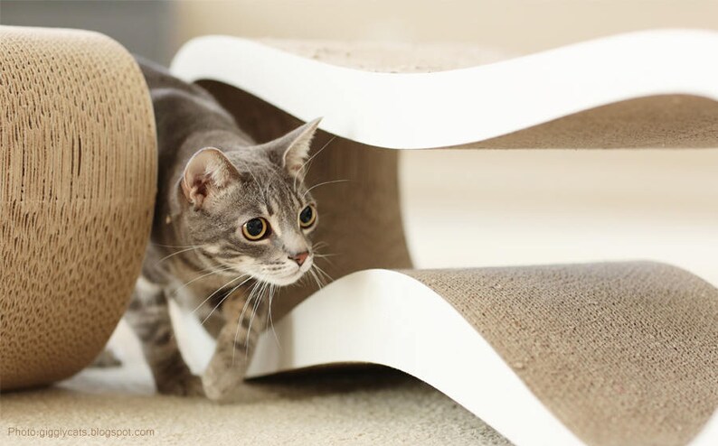 cat shelf furniture for cats Cat scratcher furniture Cat furniture shelf for cat cat bed furniture cat scratcher bed Cat bed