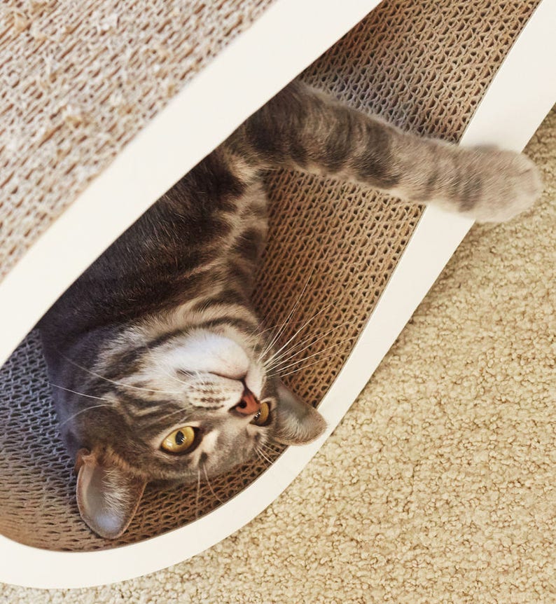 cat shelf furniture for cats Cat scratcher furniture Cat furniture shelf for cat cat bed furniture cat scratcher bed Cat bed