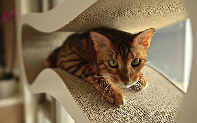 cat shelf furniture for cats Cat scratcher furniture Cat furniture shelf for cat cat bed furniture cat scratcher bed Cat bed