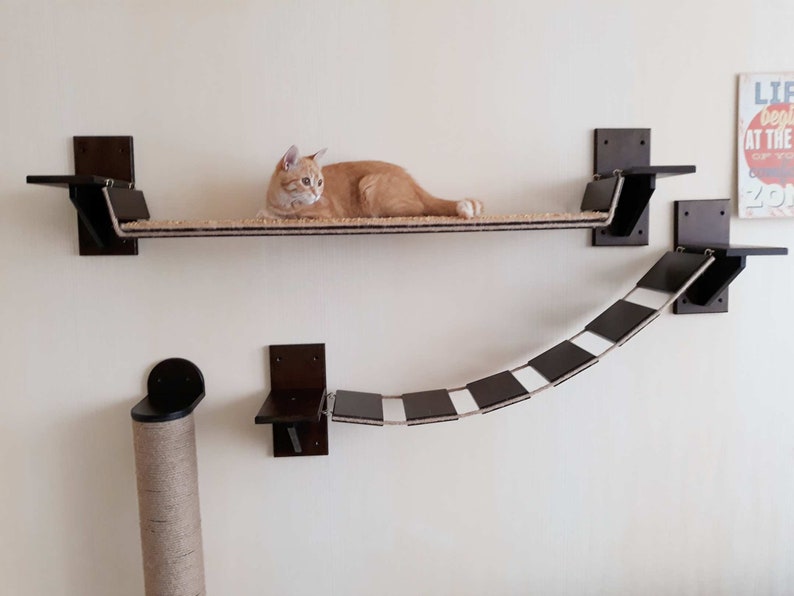 Cat Shelf Bed Wall Mount Curved Play