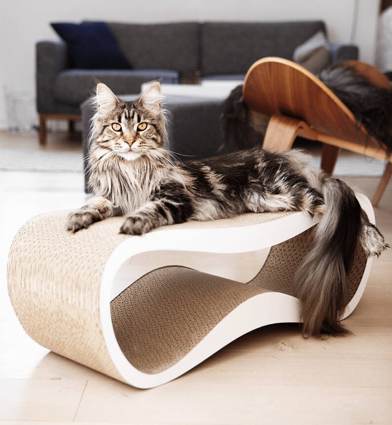 cat shelf furniture for cats Cat scratcher furniture Cat furniture shelf for cat cat bed furniture cat scratcher bed Cat bed