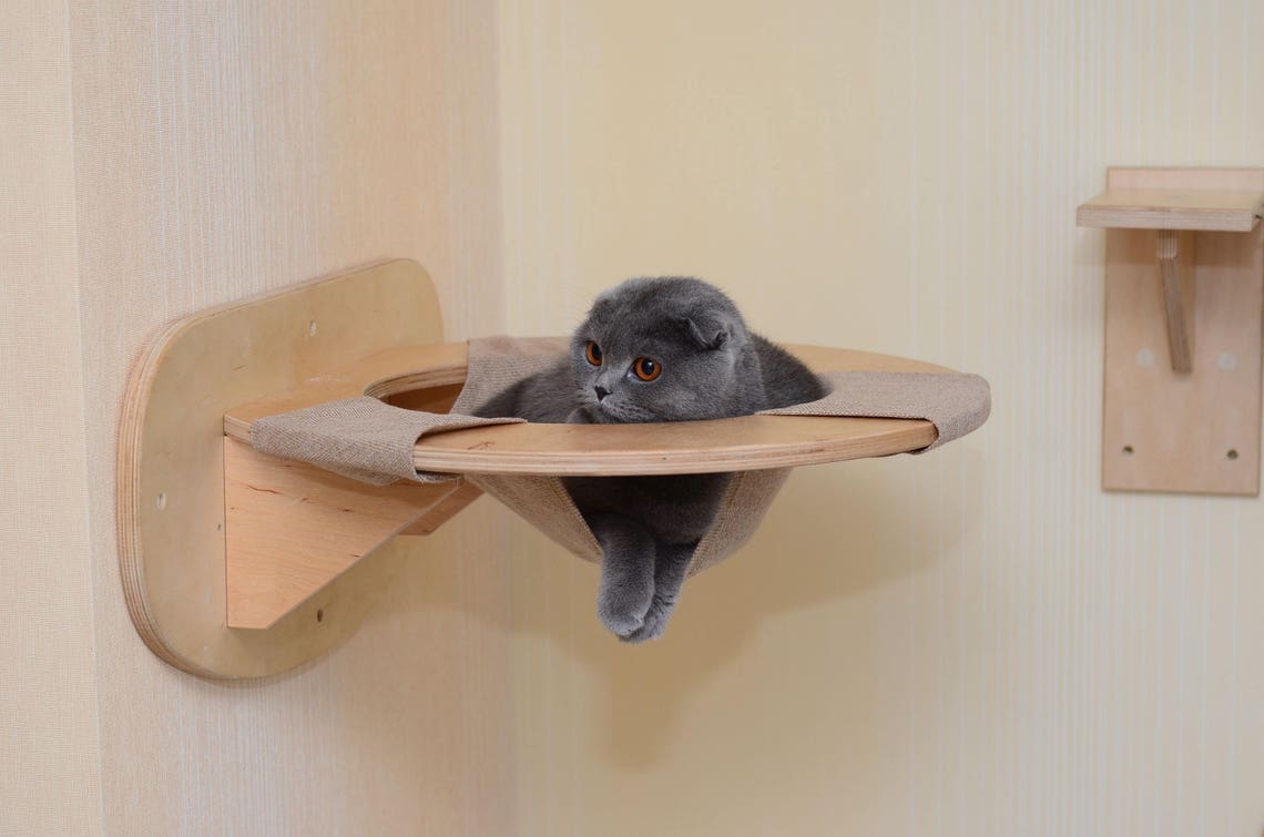 Cat hammock wall Cat bed wall mounted Cat shelf wall mount Cat Etsy