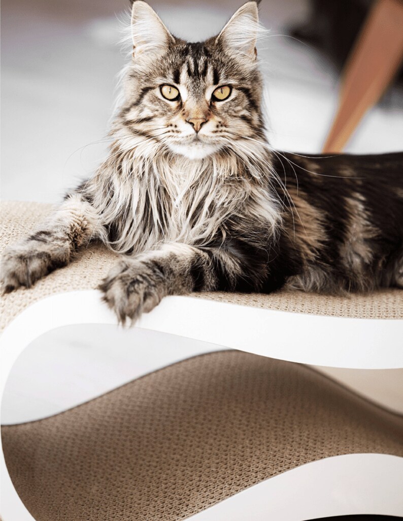 cat shelf furniture for cats Cat scratcher furniture Cat furniture shelf for cat cat bed furniture cat scratcher bed Cat bed