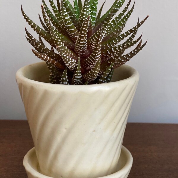 Vintage Shawnee Art Pottery / Vintage Small White Swirl Flower Pot Planter With Saucer 3.5"