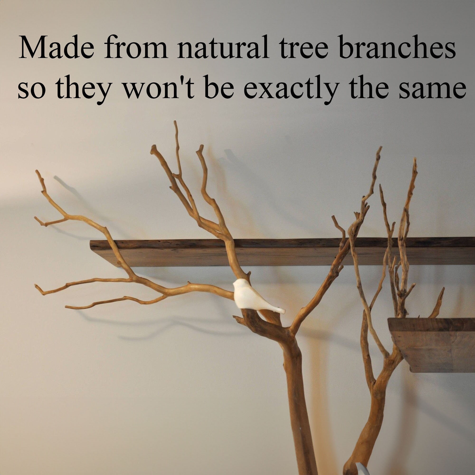 Tree Branches Wood Floating Shelves Wall Mount Live Edge Etsy