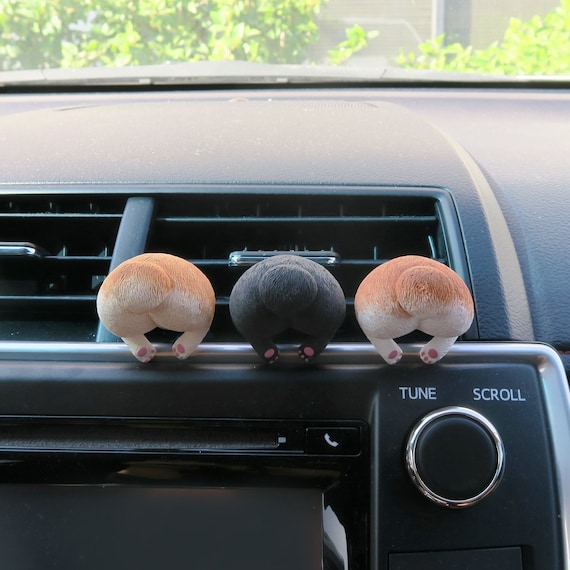 corgi car