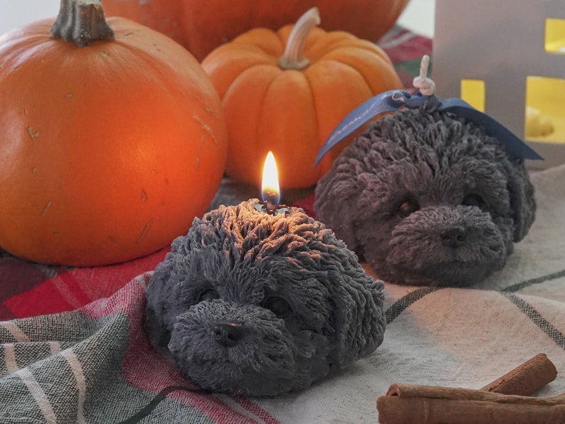 two gray poodle candles with cinnamon sticks and pumpkins