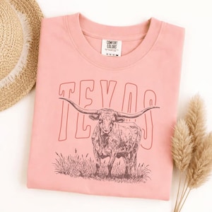 Comfort Colors Texas Longhorn T-Shirt, Retro Texas State Tee, Austin Souvenir, Unisex Gameday Shirt, Hook Em Horns, Texas Pride Gift image 1