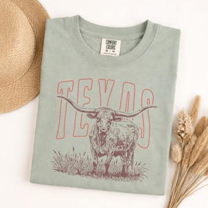 Comfort Colors Texas Longhorn T-Shirt, Retro Texas State Tee, Austin Souvenir, Unisex Gameday Shirt, Hook Em Horns, Texas Pride Gift image 7