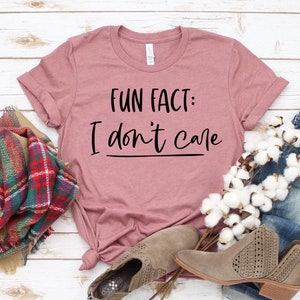 Fun Fact I Don't Care T-shirt, Inspirational Shirt, Cute Sassy Tee, Holiday Gift, Popular Top, Women's Shirt, Mother Day T-shirt, Mom Tee