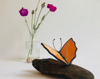 Butterfly orange on driftwood