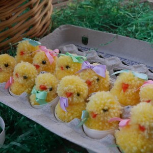 Caixa de pintinhos recém-nascidos, dúzias de ovos Pom Pom Páscoa Spring Peeps Chicks