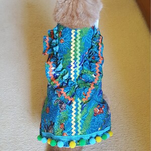 Pet clothing for cats and small dogs: Barrier reef ruffles