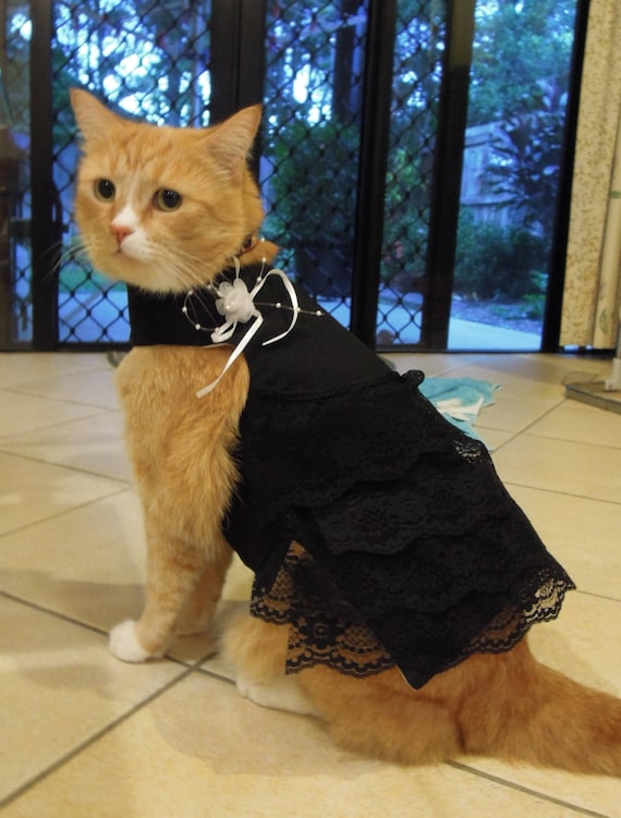 Ropa para mascotas para gatos y perros pequeños: Vestido de algodón blanco  y negro (viuda negra)