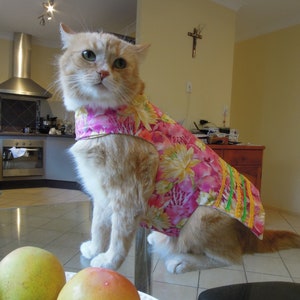 Pet clothing for cats and small dogs: Yellow Daisy in Pink