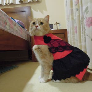 Pet clothing for cats and small dogs: Red and black cotton dress (Spanish)