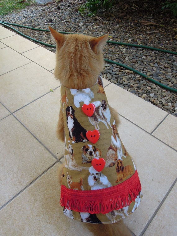 Pet Clothing for Cats and Small Dogs: Brown and Red Cotton Dress