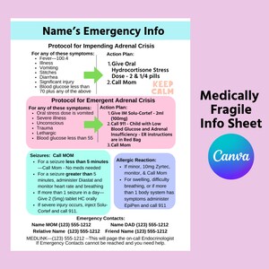 Médicalement fragile - Feuille d'informations d'urgence - Informations sur l'infirmière scolaire, Feuille d'informations sur la baby-sitter, Informations importantes - Personnalisable dans Canva