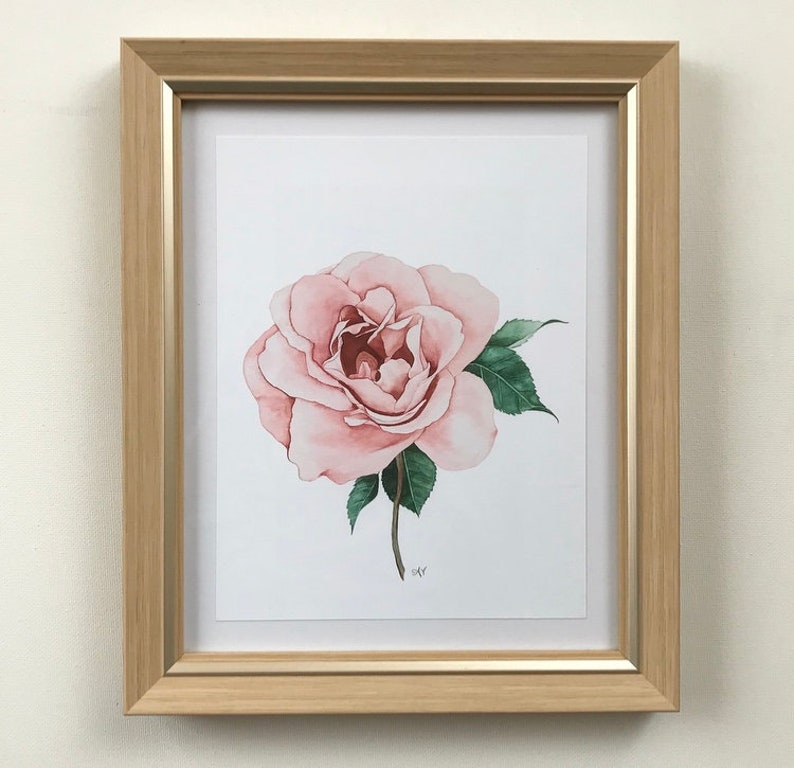 Pink Rose Watercolor Print